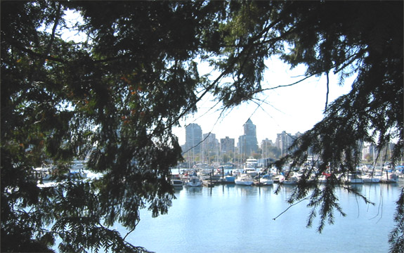 Vancouver City from Gardens of Stanley Park