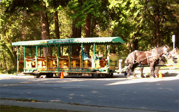 Park Stanley Hourse-Drawn Tours