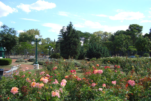 Rose Garden in Sarmiento Park - Córdoba City :: Argentina