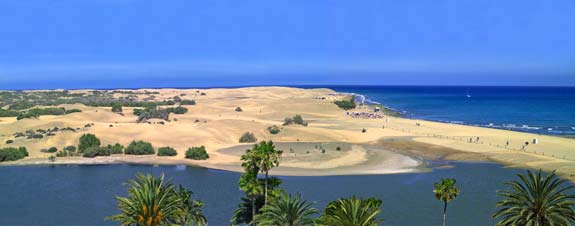 Sixth International Conference on Multimedia, Scientific Information and Visualization for Information Systems and Metrics (MSIVISM 2019) :: Las Palmas de Gran Canaria, Spain :: January 29 – 31, 2019