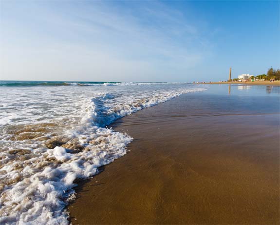 Sixth International Conference on Multimedia, Scientific Information and Visualization for Information Systems and Metrics (MSIVISM 2019) :: Las Palmas de Gran Canaria, Spain :: January 29 – 31, 2019