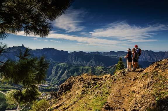 7th International Conference on Multimedia, Scientific Information and Visualization for Information Systems and Metrics (MSIVISM 2020) :: Las Palmas de Gran Canaria, Spain :: January 29 – 31, 2020