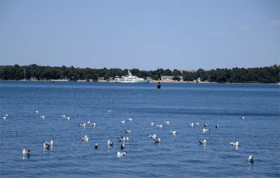 3rd International Conference on Quantum Information Technologies Applied to Nature and Society :: QUITANS 2020 :: Pula - Croatia :: June 4 – 6, 2020