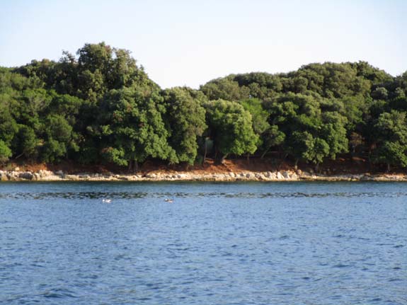 3rd International Conference on Quantum Information Technologies Applied to Nature and Society :: QUITANS 2020 :: Pula - Croatia :: June 4 – 6, 2020