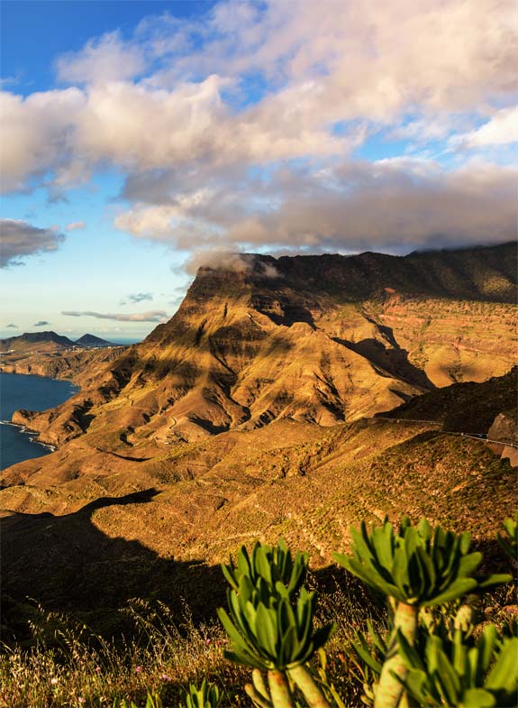 systems and metrics (msivism 2020) :: las palmas de gran canaria